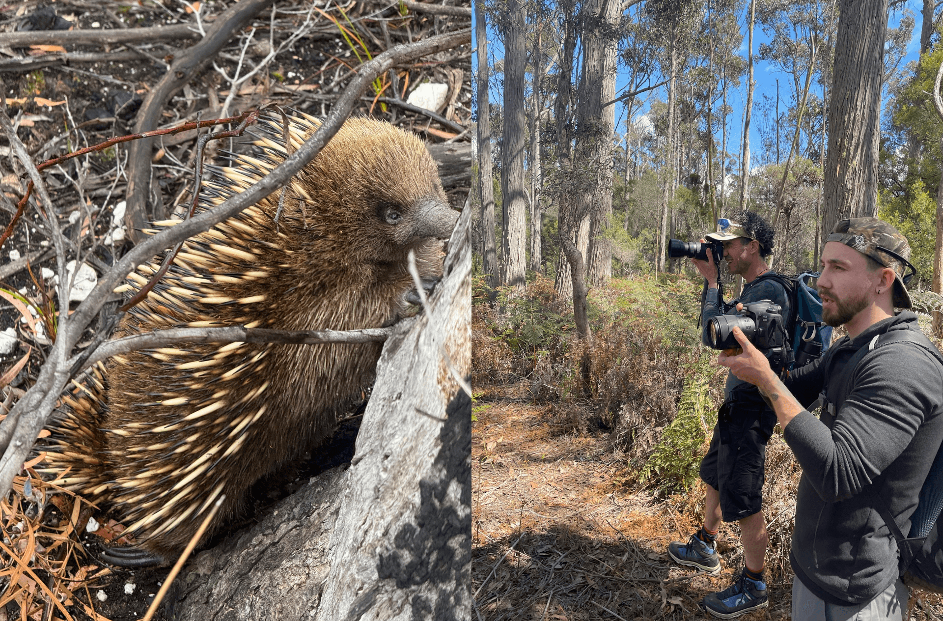Bakers–Narawntapu Traverse: 20 km Coastal Hike from Bakers Beach photo 2