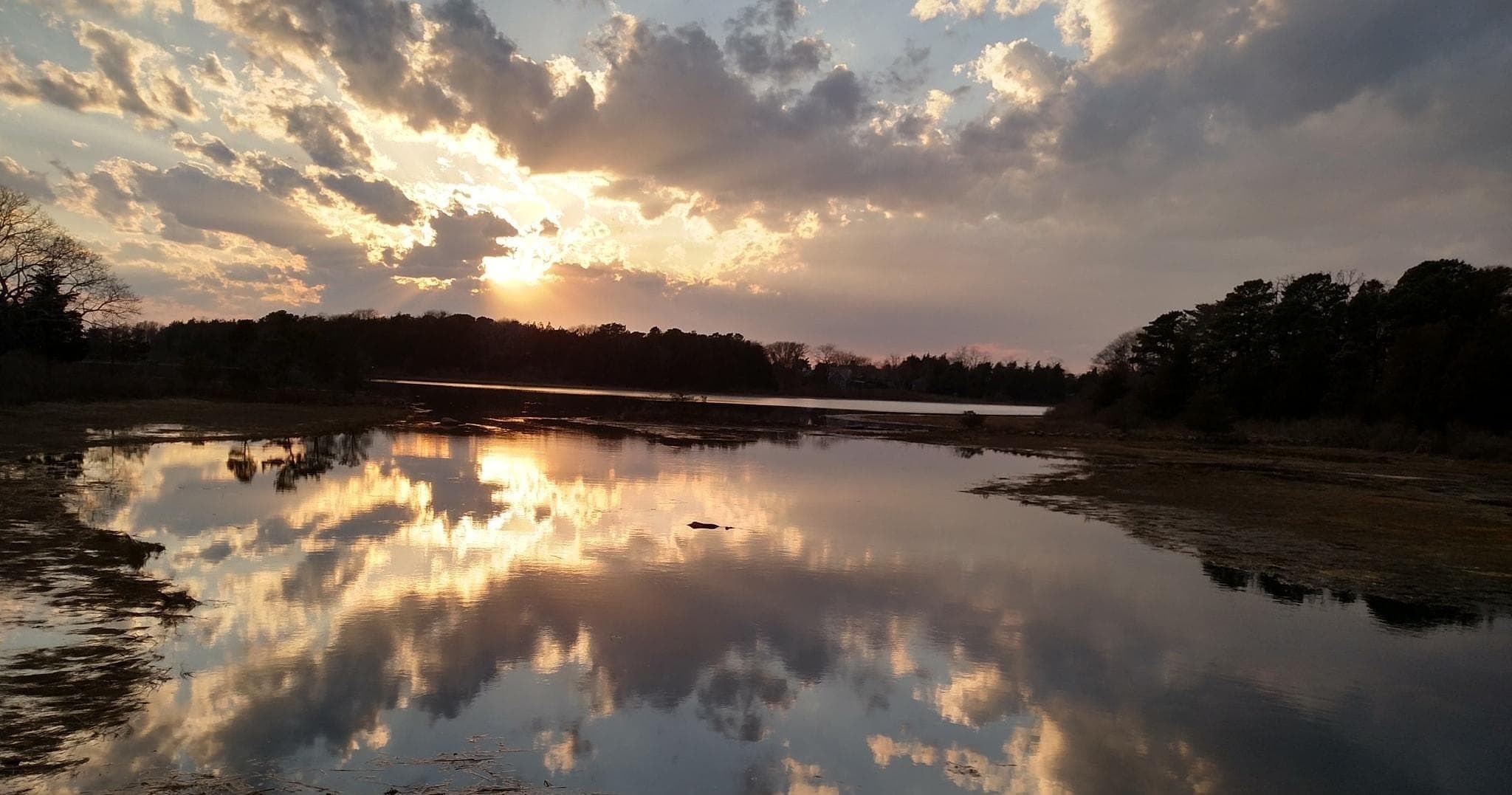 Eco Tour in Hyannis, Massachusetts