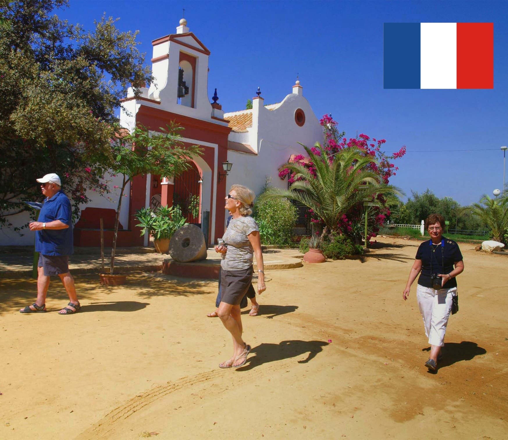 Taste Andalusia: French-Language Olive Oil Tour at Basilippo’s Hacienda Merrha