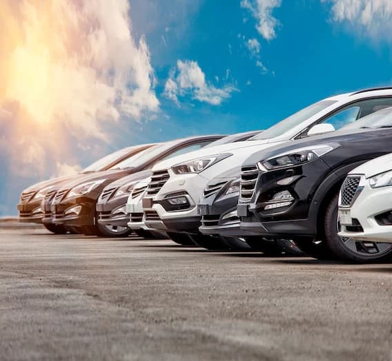Car Rentals for Maui Adventure Trips