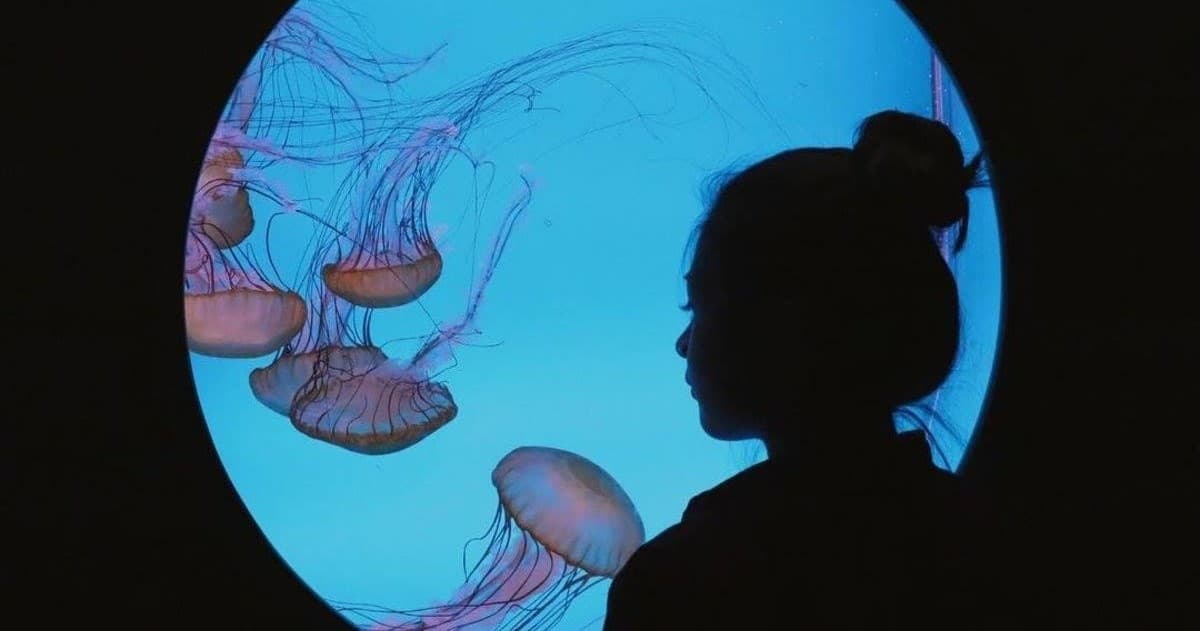 Wild Dreams Overnight at Denver's Downtown Aquarium photo 1