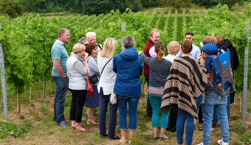 Explore England’s Countryside: Wine Unearthed Vineyard Tour from Liverpool