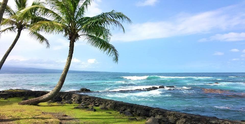 Snorkeling Sea Turtles at Hilo Ocean Adventures