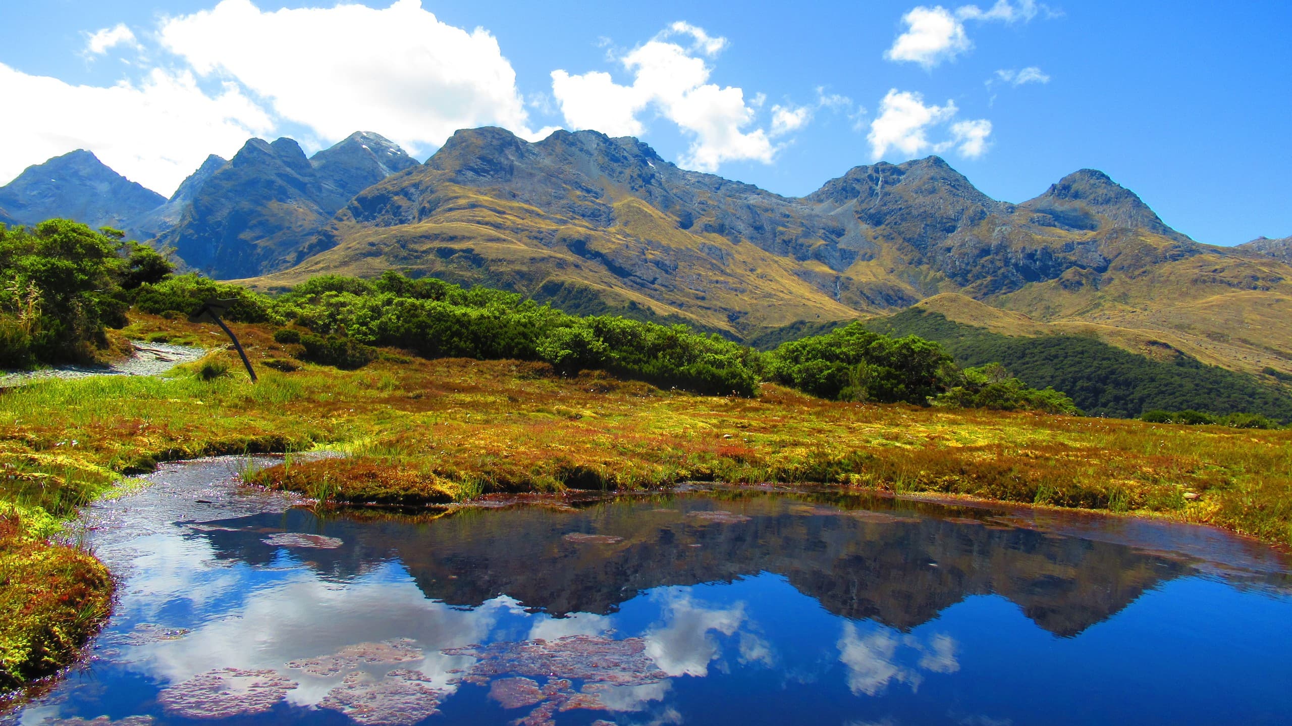 Key Summit Scenic Walk: Guided Alpine Tarn Hike with Fiordland Mountain Views photo 3