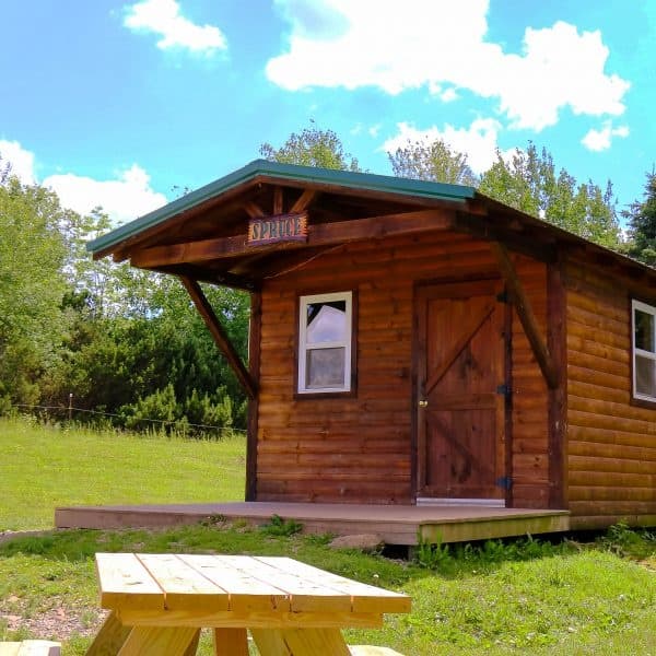Spruce Cabin: Off-Grid Trailside Cabin in Andover, NY
