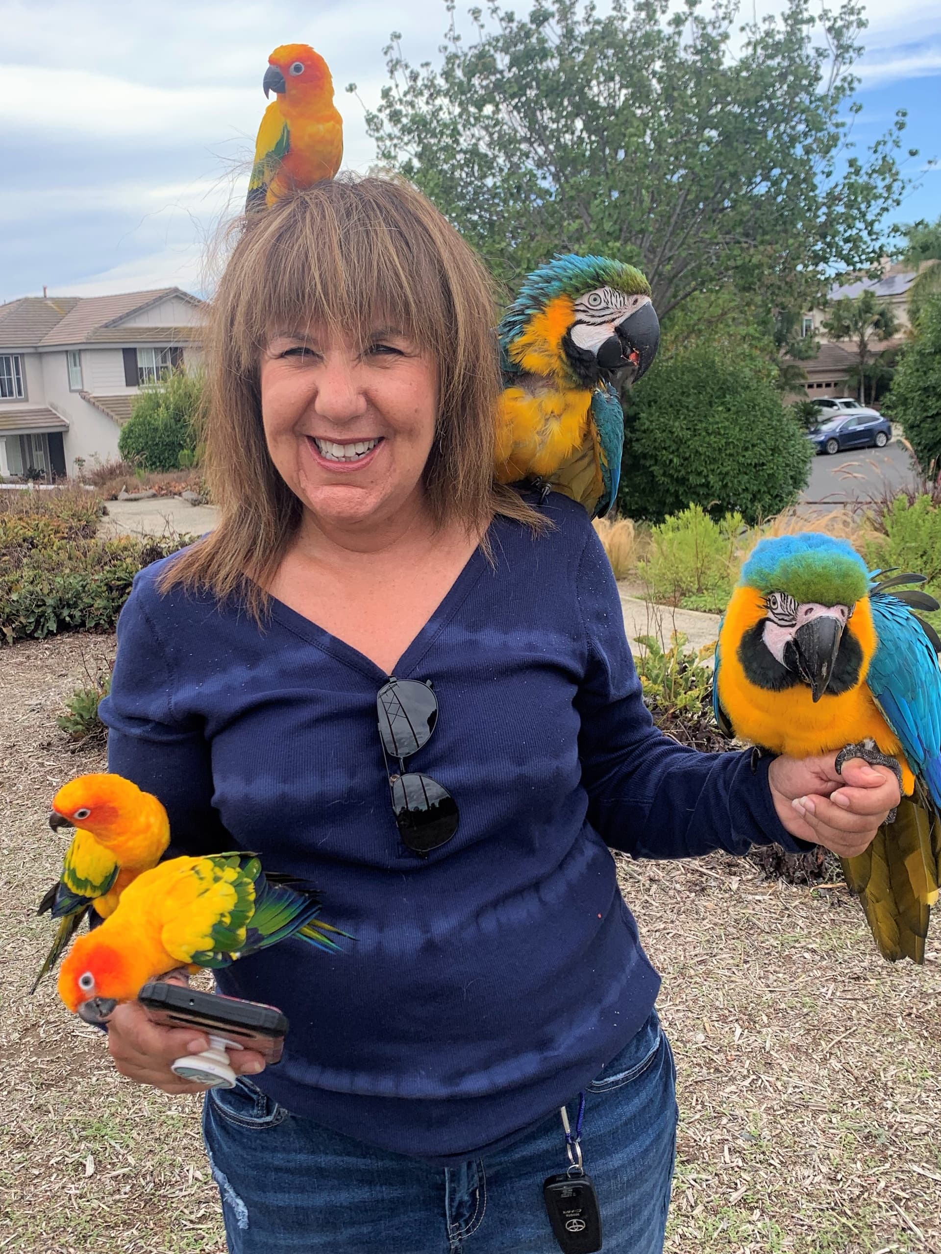Winged Wonders: Private Parrot Tour in Bonsall, CA