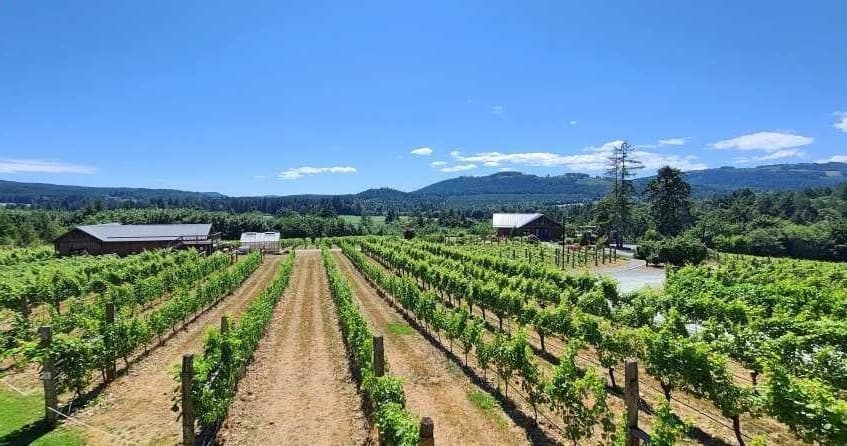 Land-Adventures & Wine Tasting with Surfside Adventure Tours