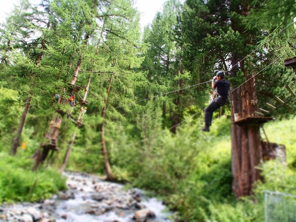 High ropes course over mountain stream in verdant forest
