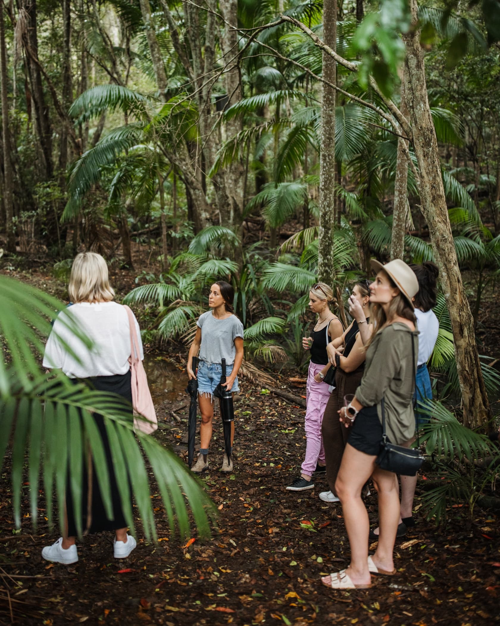 Rainforest & Gin Tasting at Cape Byron Distillery