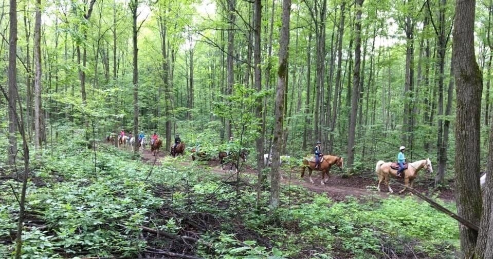 Outdoor Adventure: Horseback Rides at Maple Ridge Stables