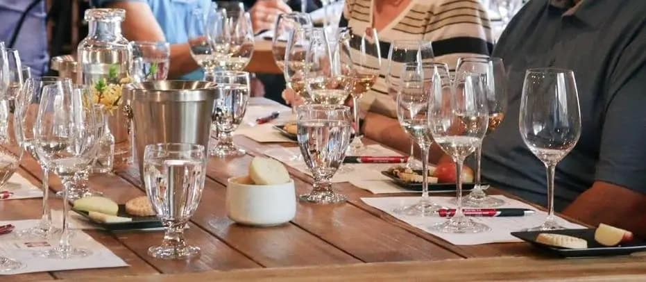 Horizontal Tasting: Billsboro Winery's 2020 Vintage Flight