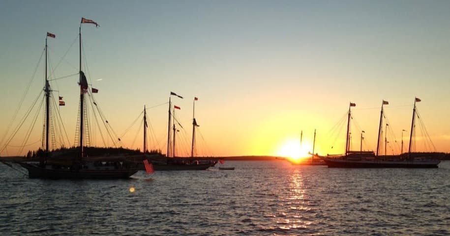 Multiple tall masts silhouetted at sunset over harbor waters