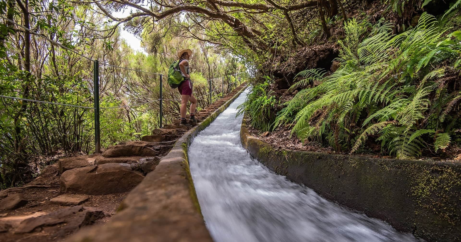 Madeira Happy Tours: Levada do Alecrim Trek in Funchal