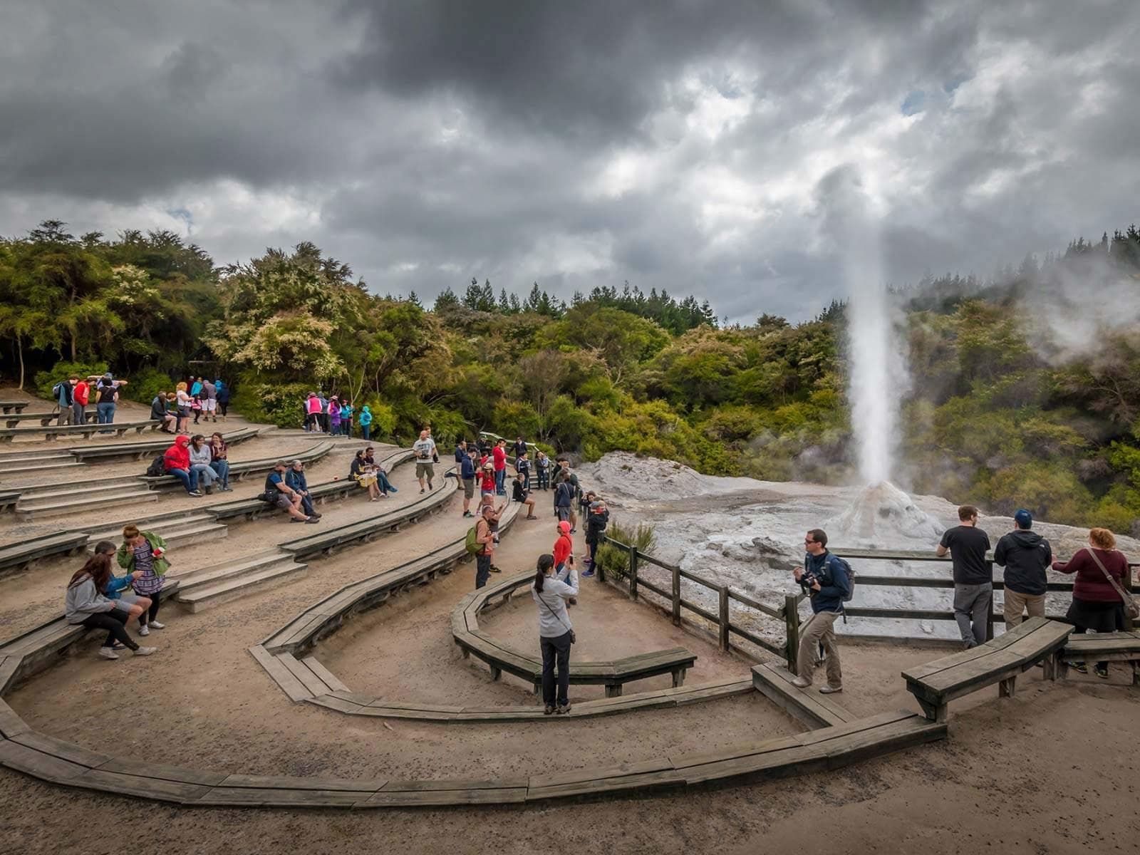 Magical Wanderer Private Tour by ExperienceKart from Auckland