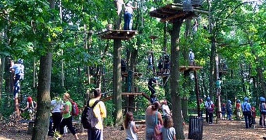 Climbing Adventure at Gut Darß: Familienkarten in Darß