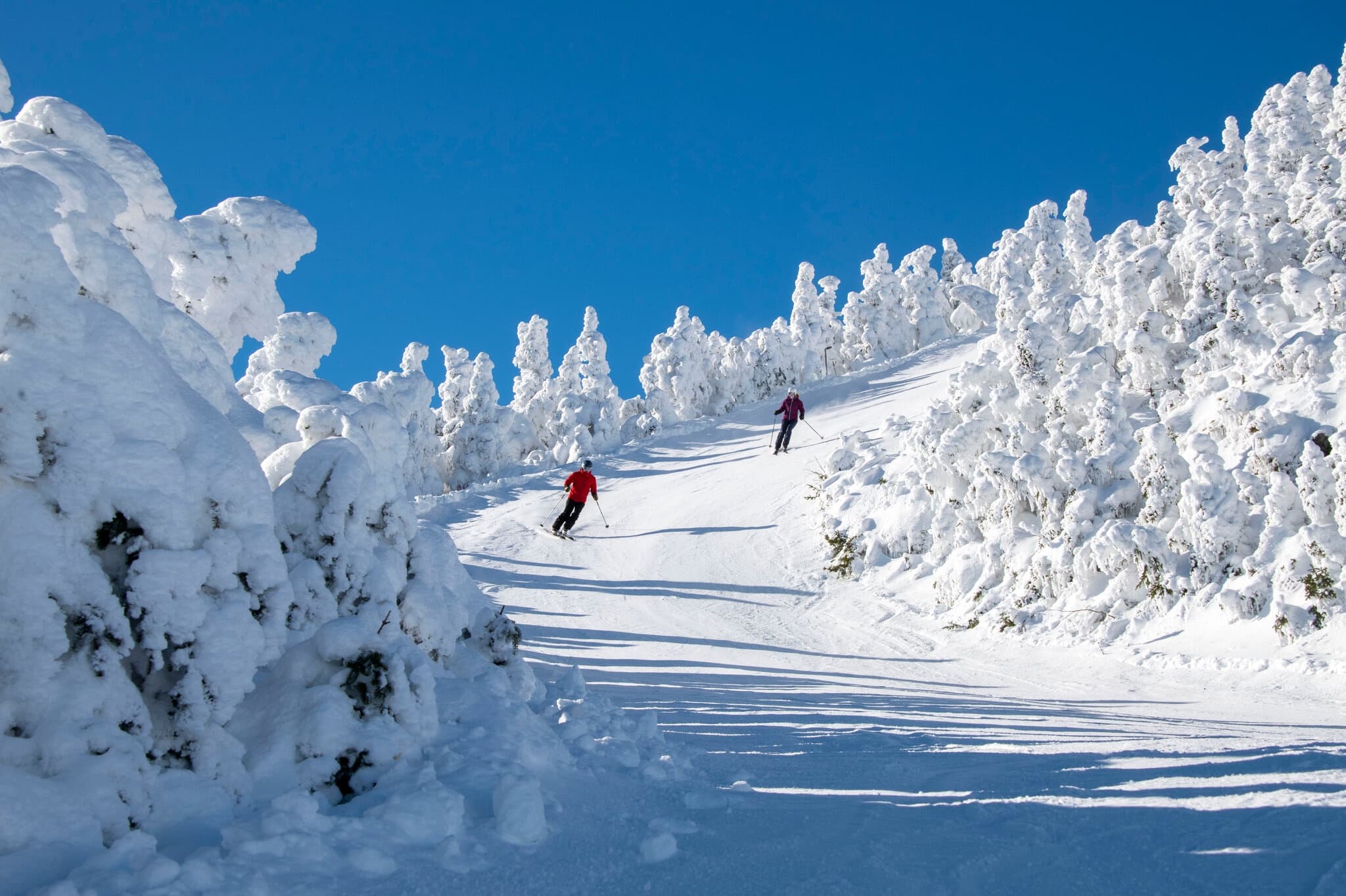 Jay Peak Overnight: Fun Bus to East Coast Powder, Trees & Tram