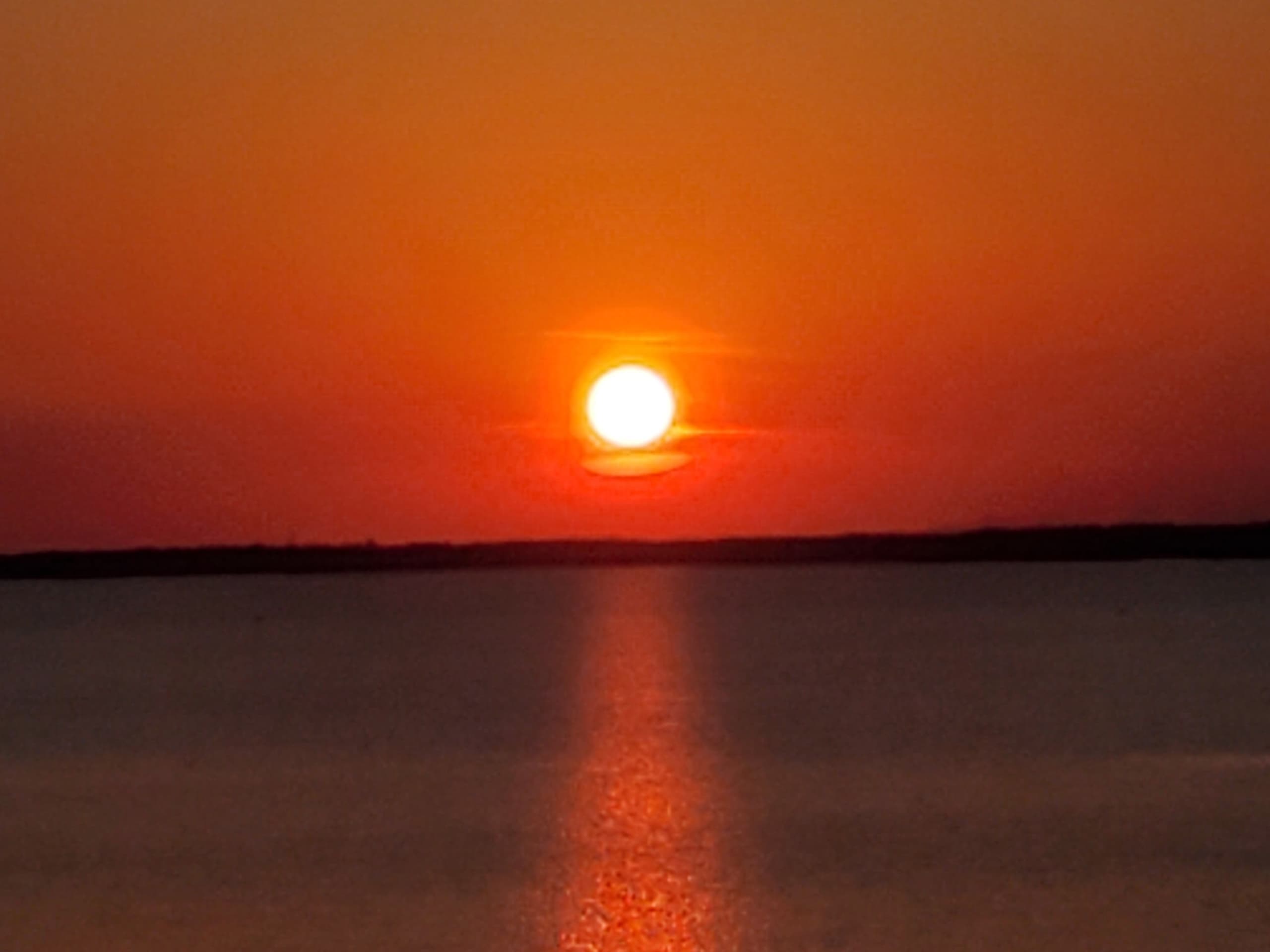 Sunset & Dolphin Cruise with H2O Captain in Morehead City