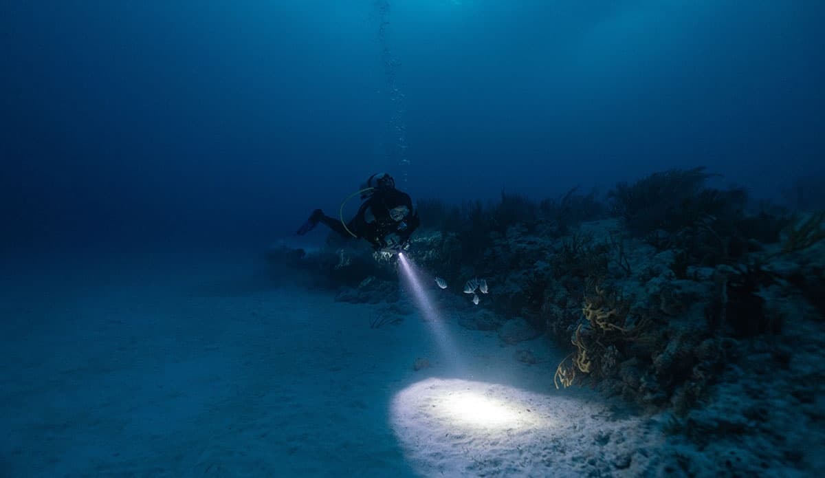 Night Dive Scuba Adventure in Oahu's Pelagic Reefs