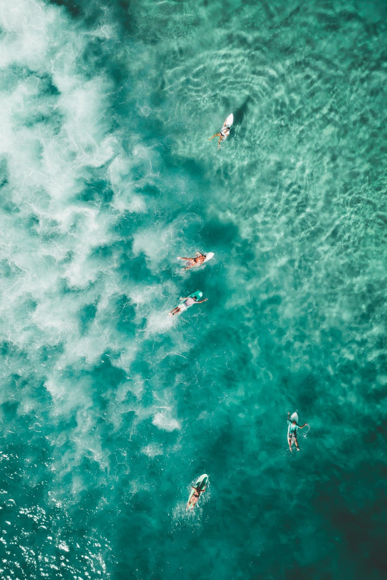 Aerial view of surfers paddling turquoise reef and ocean swells