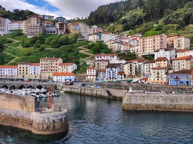 Coastal Journeys with Go Basque in Donostia