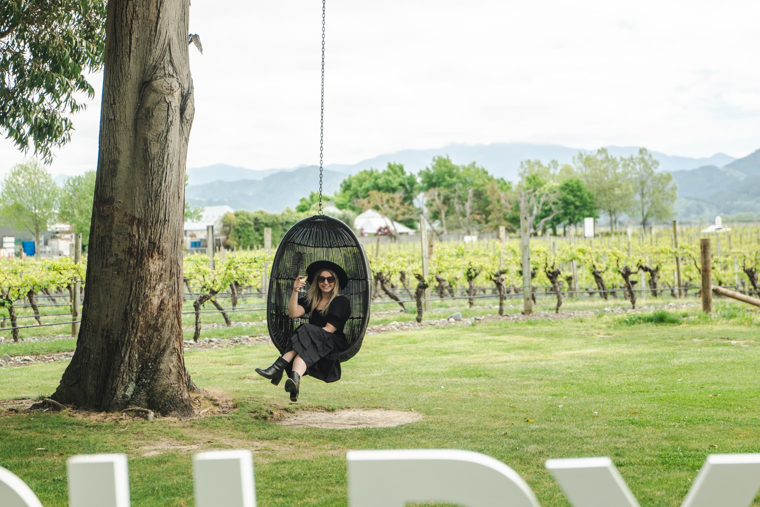Land Adventures & Vineyards: Marlborough Vineyard Tour by Helicopters Nelson