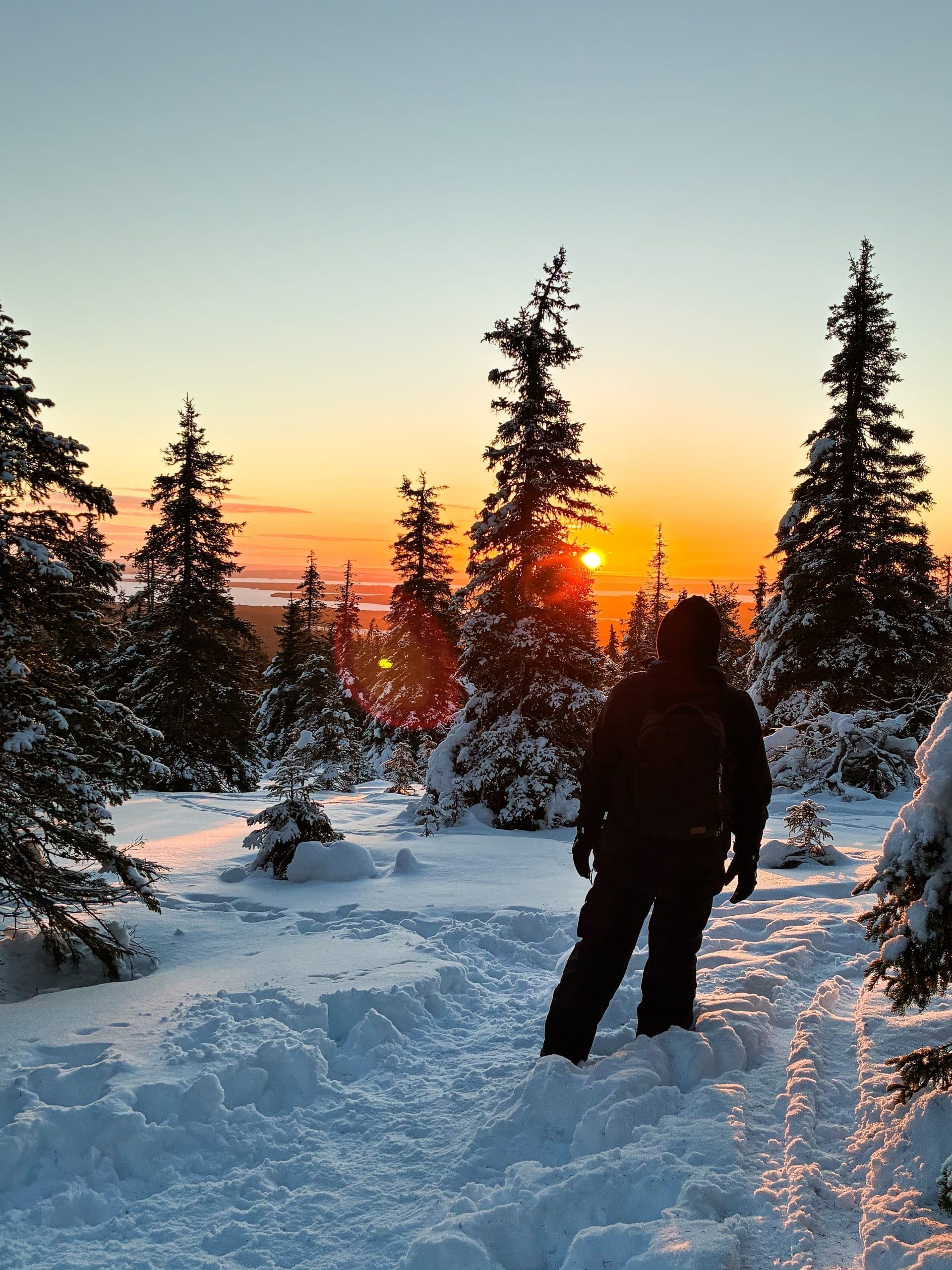 Winter Icefalls of Korouoma: A Guided 7-Hour Hike from Rovaniemi photo 1