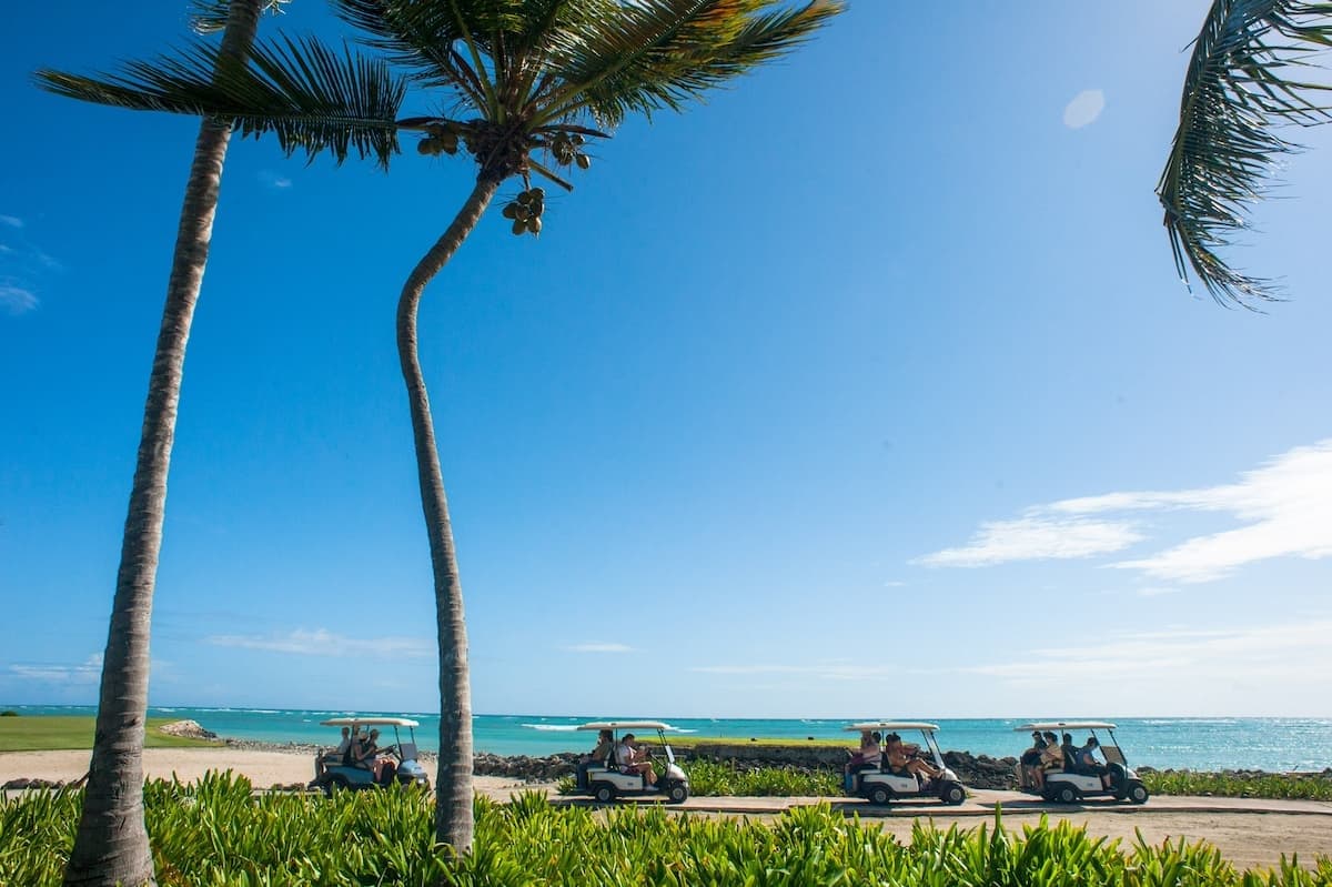 Beachside palm trees with parked ATVs for coastal off-road tours