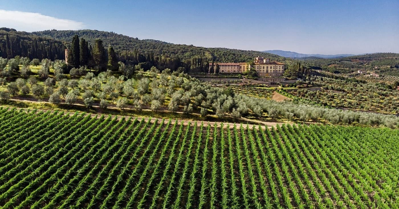 Wine & Culture Tour at Tuscan Villa