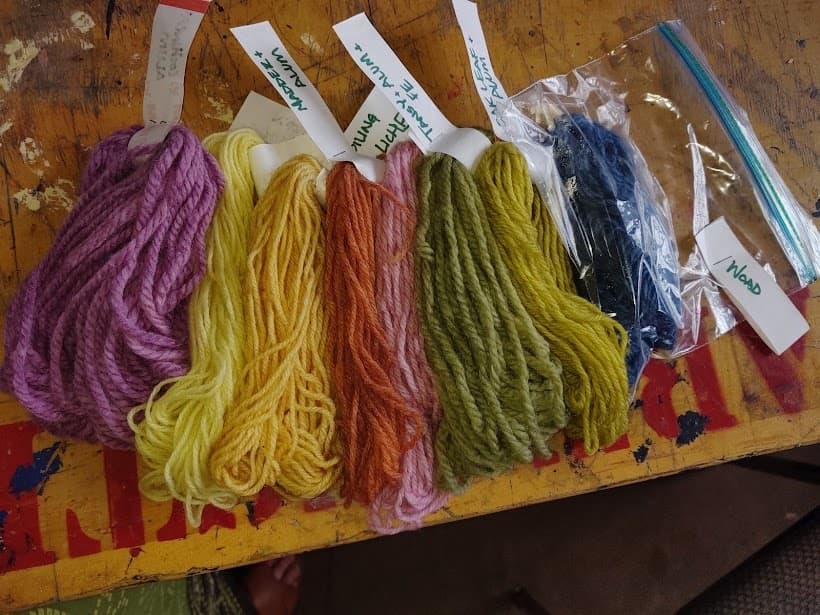 Paddle, Plants, and Pigments: Apostle Islands Kayak & Natural Dye Retreat
