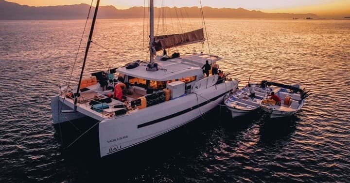 Water Activities at Marlin Bait Ball Magic with Camera & Freediving Workshops