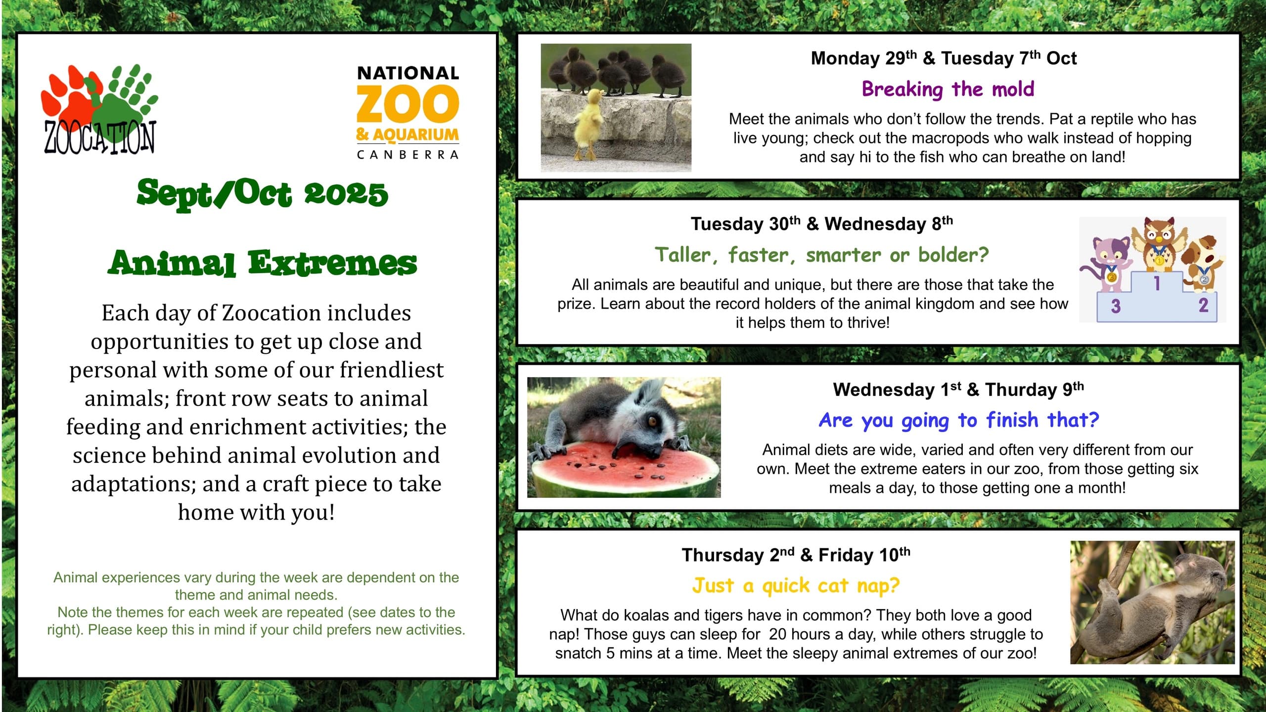 Hands-On Kids’ Adventure at National Zoo and Aquarium Canberra
