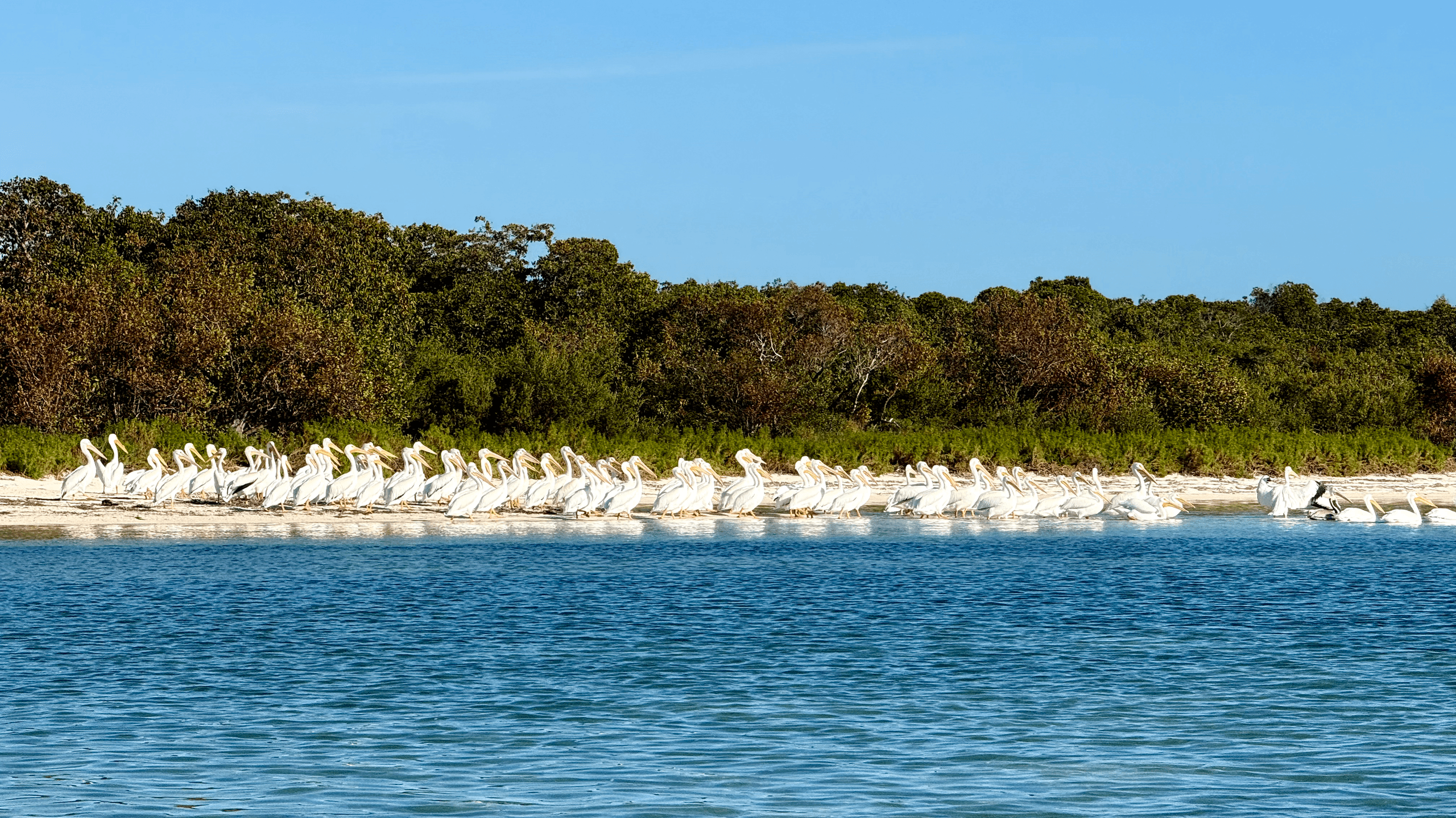 One Night, Two Days: Overnight Sailing on Mystic Blue from Key West