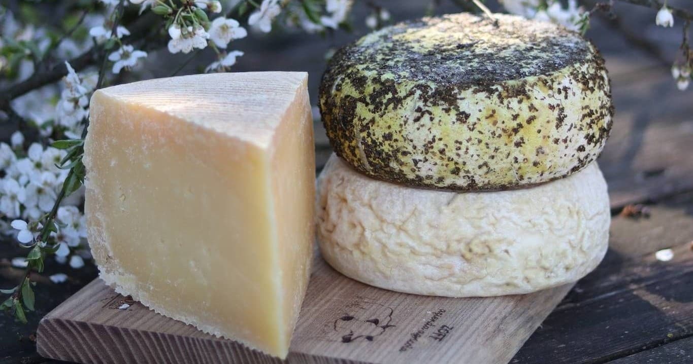 Raw Milk Cheese Tasting at Farm Experiences & Tours, Friuli