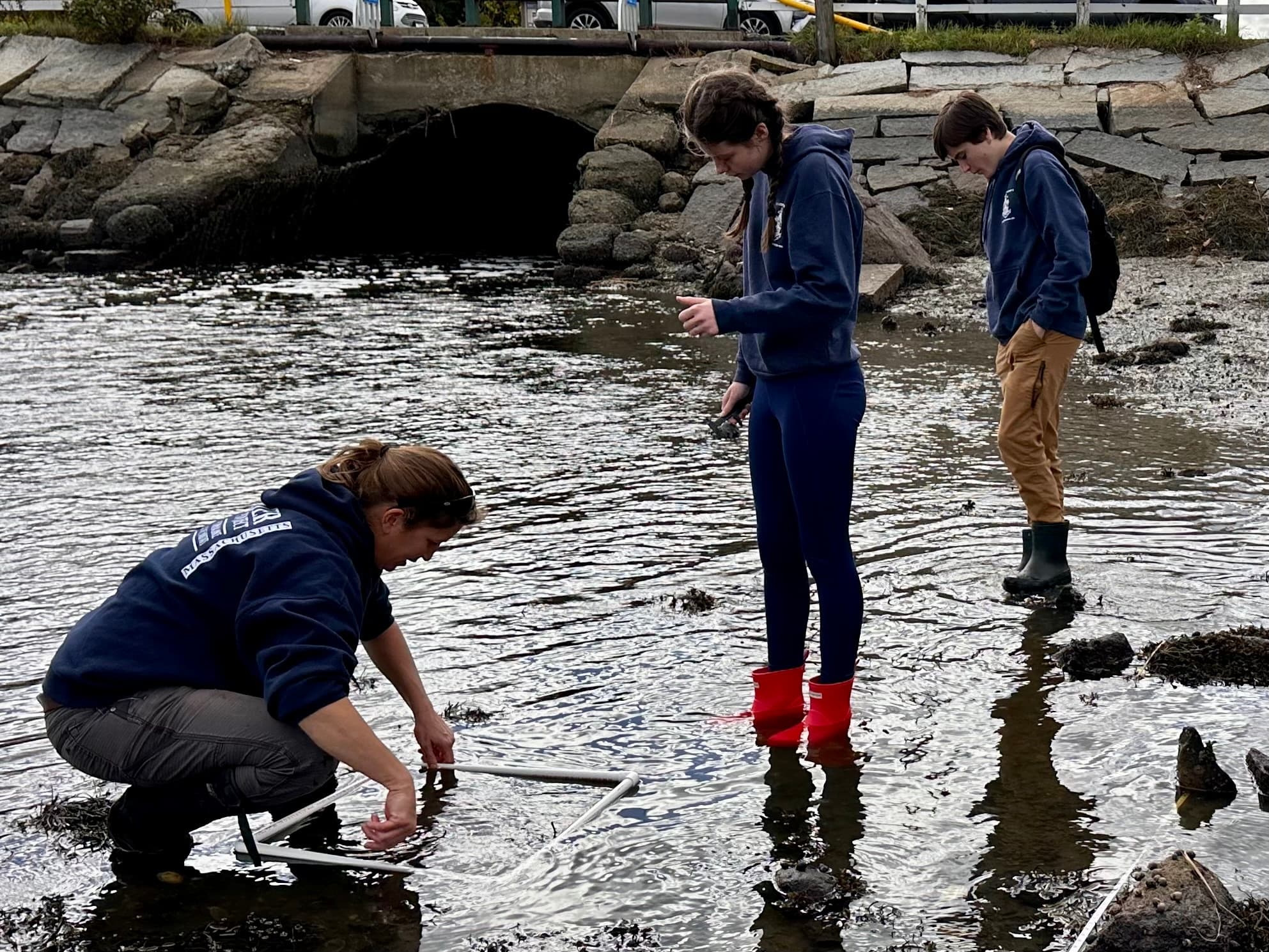 Citizen Science Monitoring with Mass Oyster Project in Ipswich, MA: Hands-On Marine Conservation Adventure
