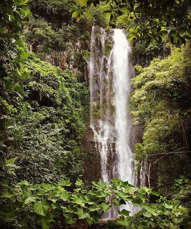 Deluxe Hana Tour: Scenic Road to Hana Adventure in Maui