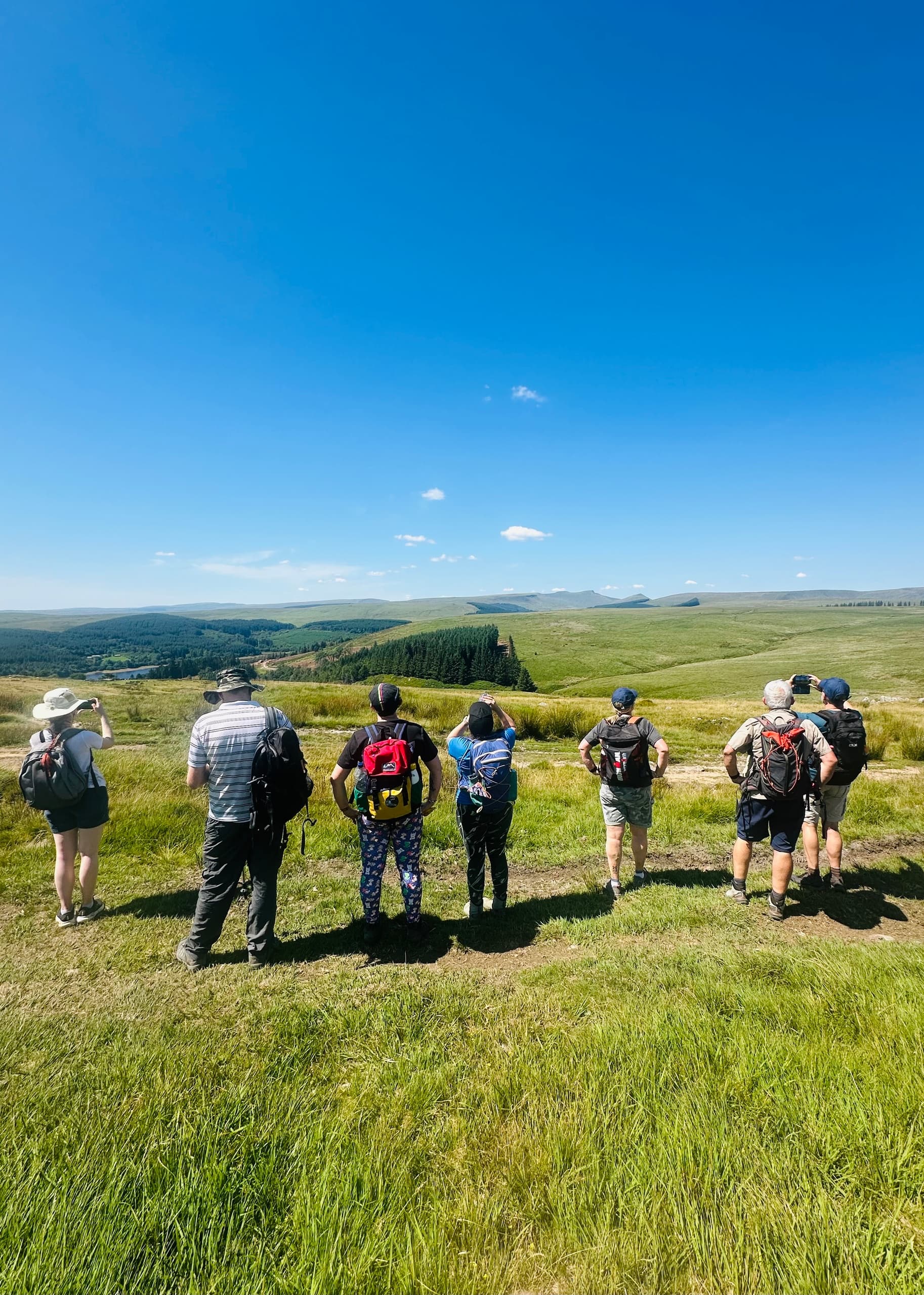 Brecon Mountain Railway & Cwm Criban Ridge Walk: Train Ride, Ogham Stone & Limestone Views photo 4