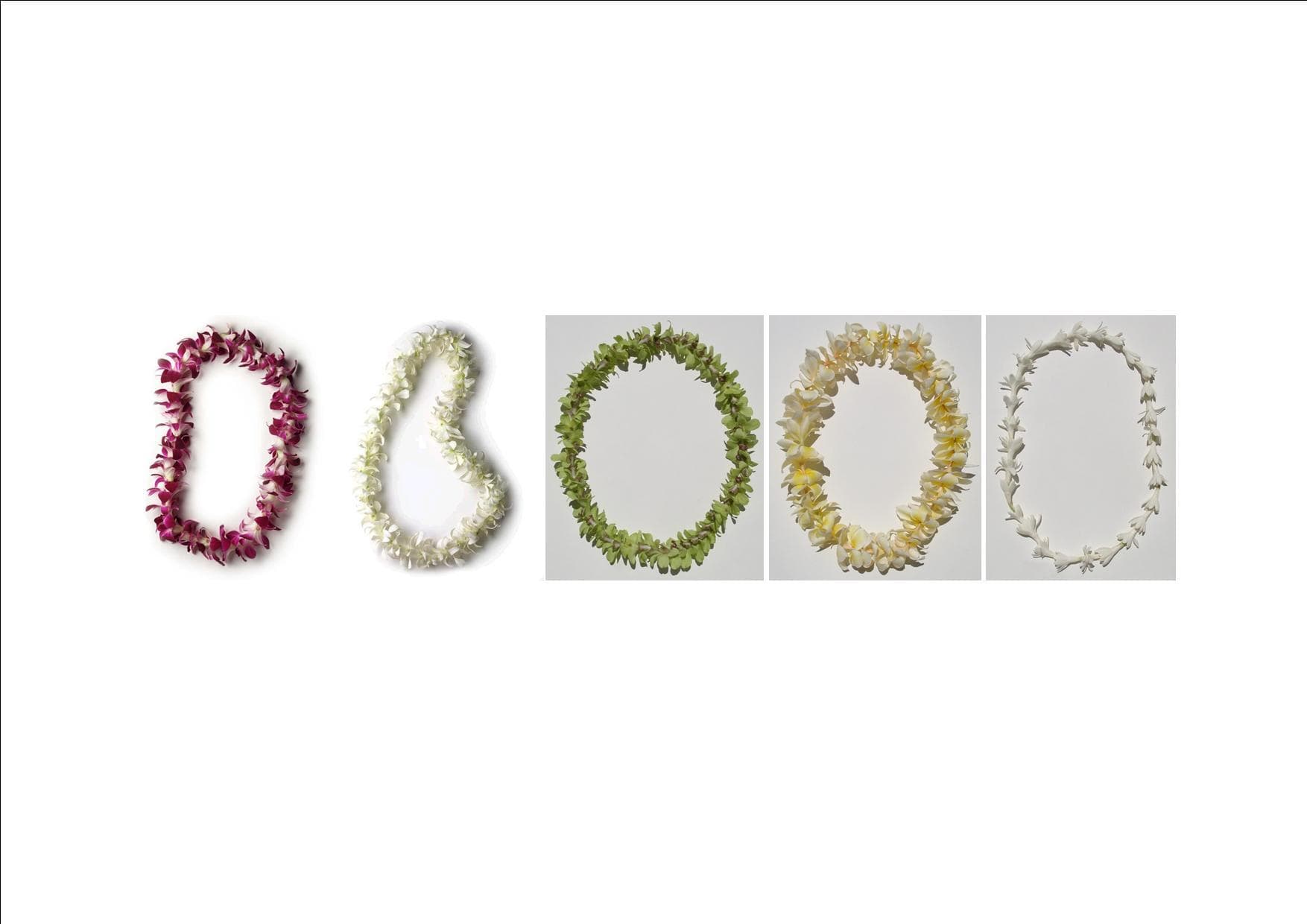 Hawaiian Leis & Flowers by Leis of Hawaii in Honolulu