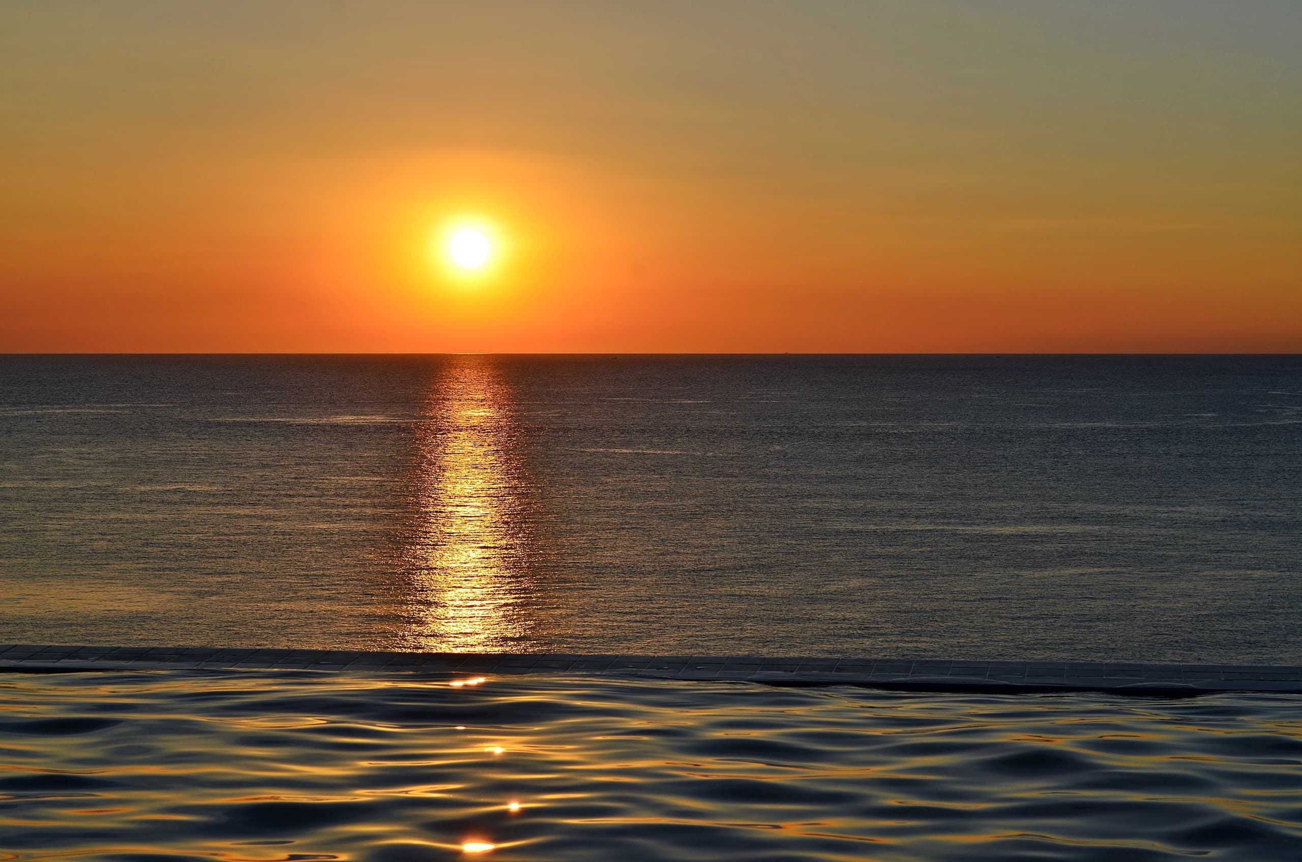 Sunset Wildlife Cruise with Manatee Sightseeing in Naples