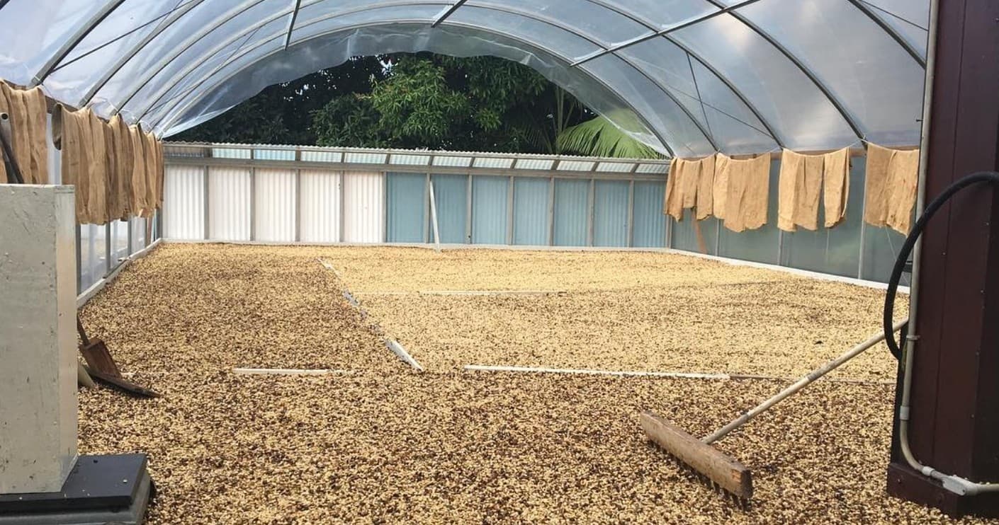 Kona Lisa Coffee Farm Visit: Taste Kona Coffee with a Master Roaster in Captain Cook photo 3