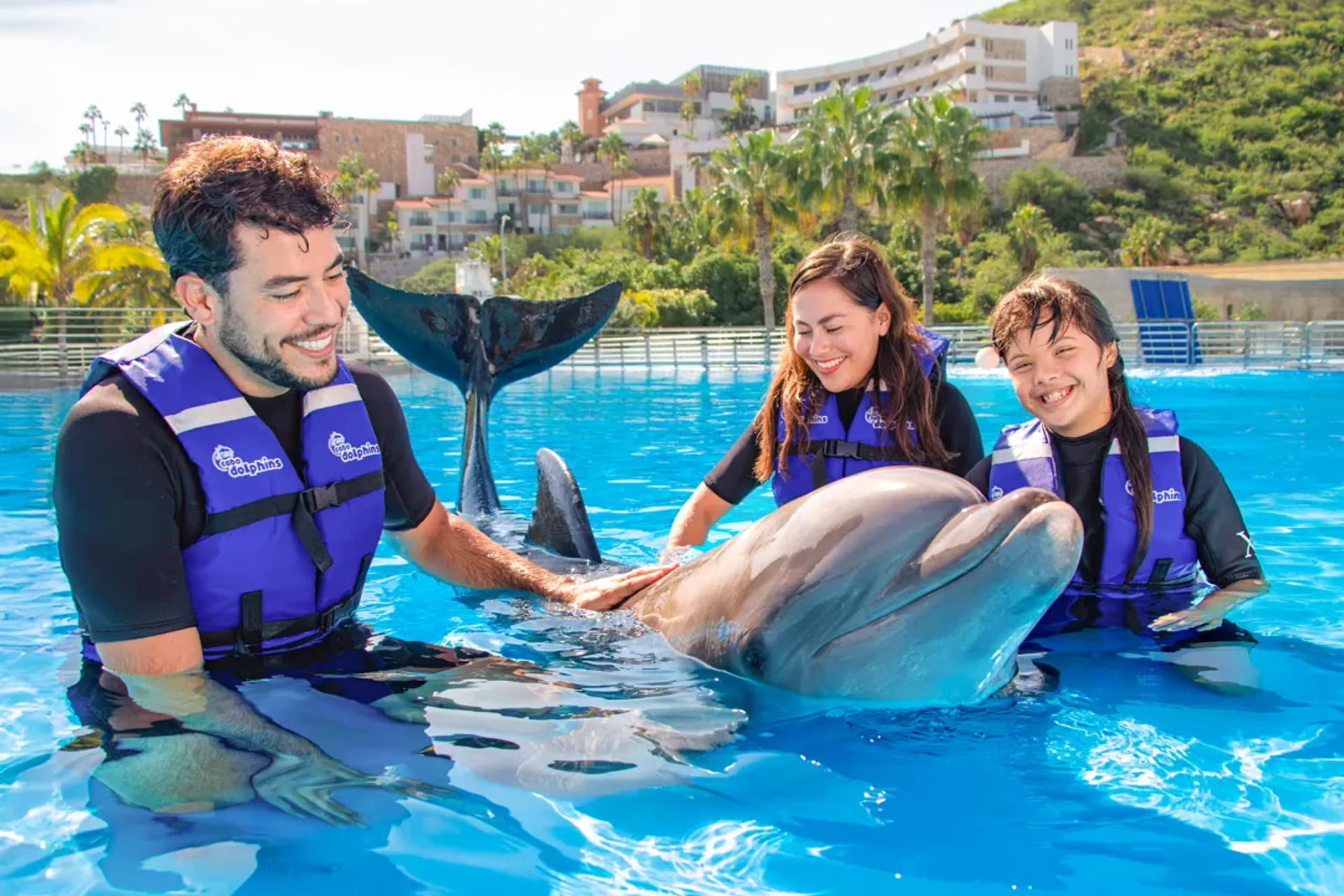 Swim with Dolphins in Cabo San Lucas: 40-Minute Certified Encounters