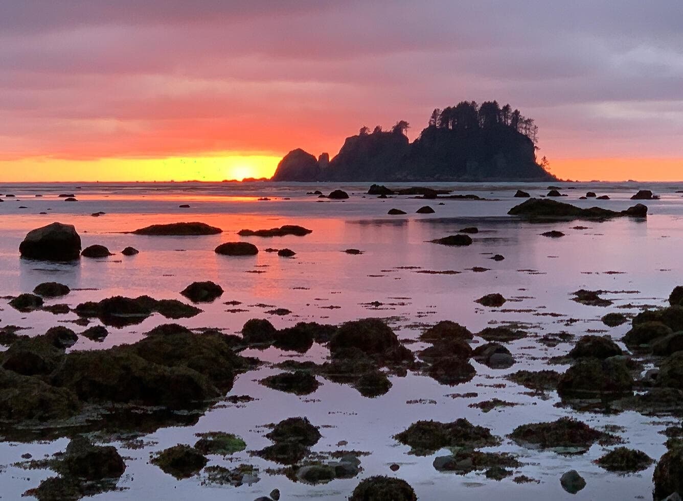 Ozette Triangle Backpacking: Beginner-Friendly Olympic Coast Trip (Sept 4–7, 2026)