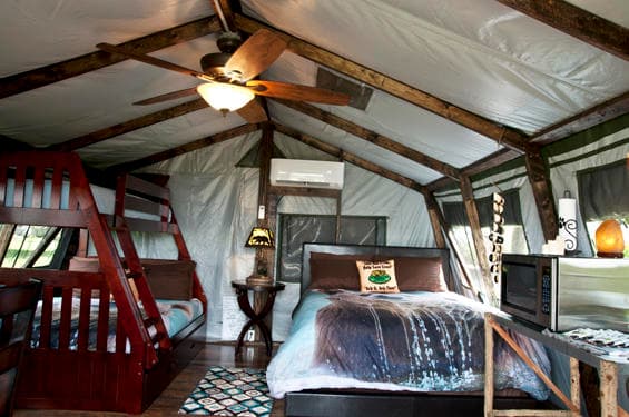 Wildlife & Glamping at Bam Bam's Bungalow in Arkansas