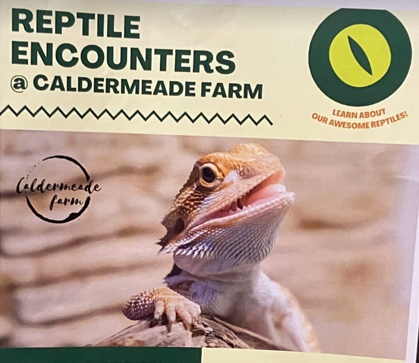 Reptile Encounters at Caldermeade Farm: Live Aussie Reptiles for Families photo 1