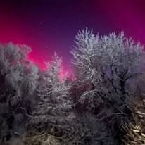 Ice Camping and Fishing in Palmer: Snowmachine Overnight for Pike and Aurora photo 2