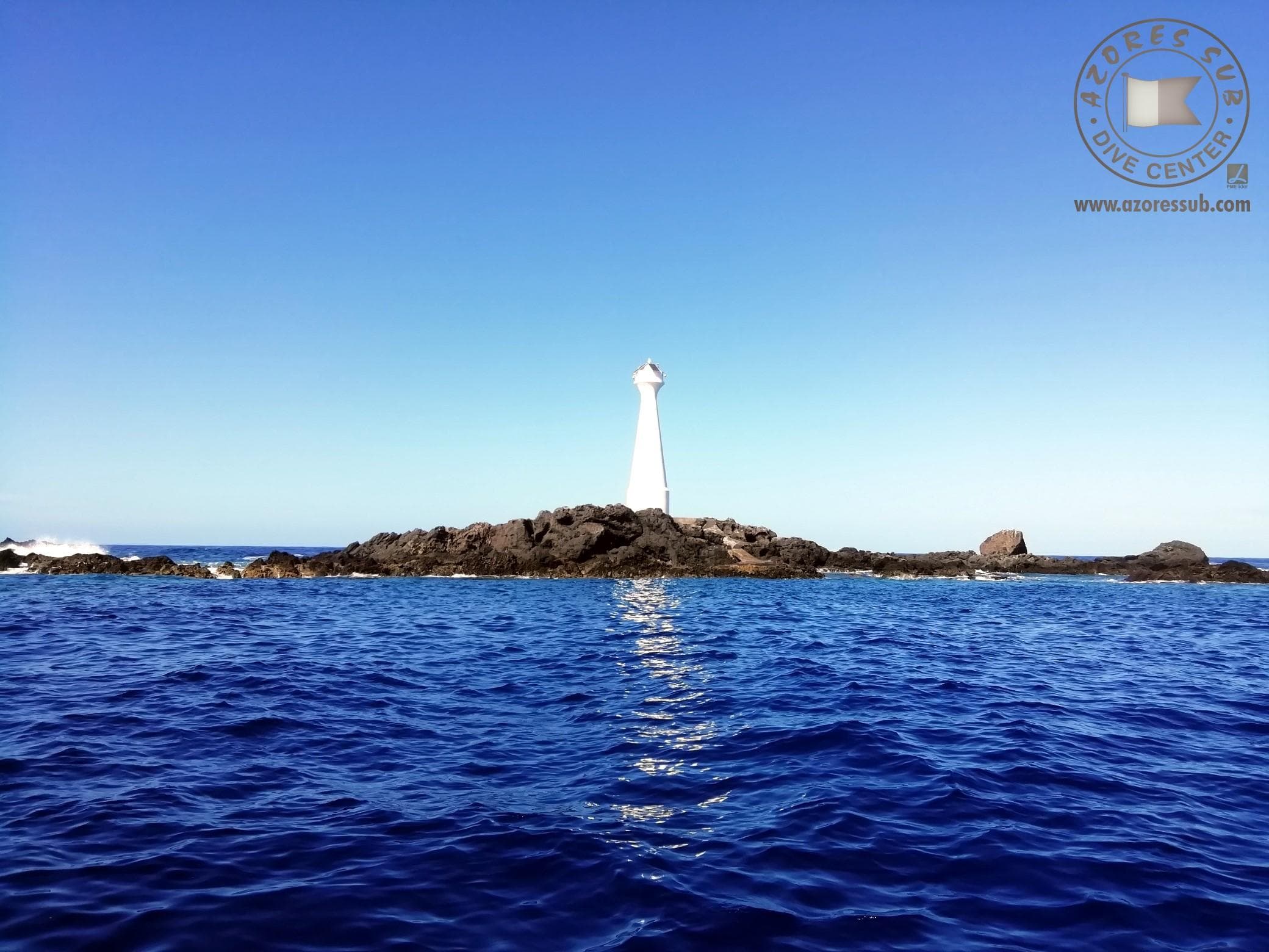 Atlantic Diving with Azores Sub at Formigas & Dollabarat