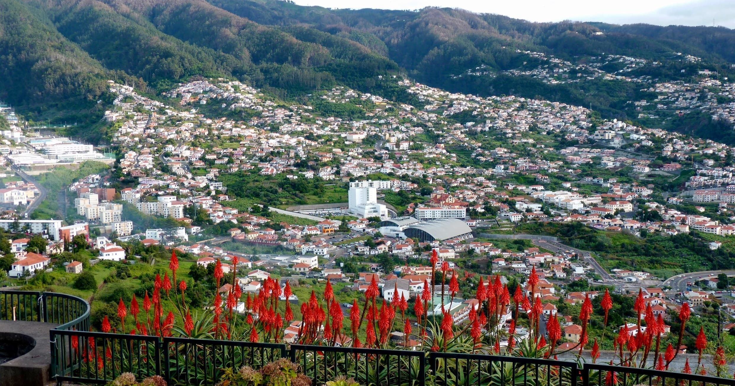 Tuk Madeira City Tours: Scenic Views at Pico dos Barcelos