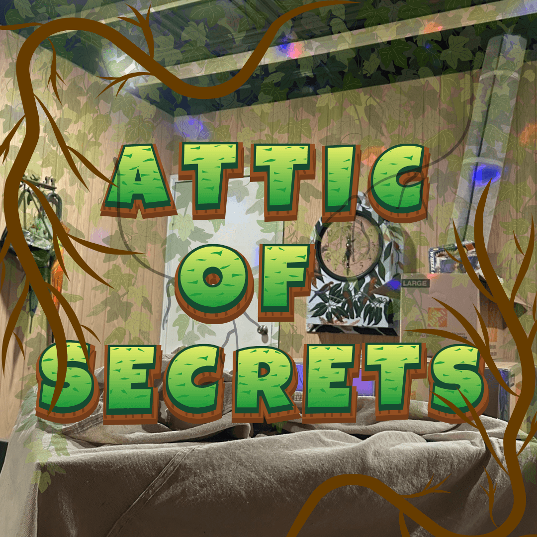 Land Adventures with Attic of Secrets in Waco