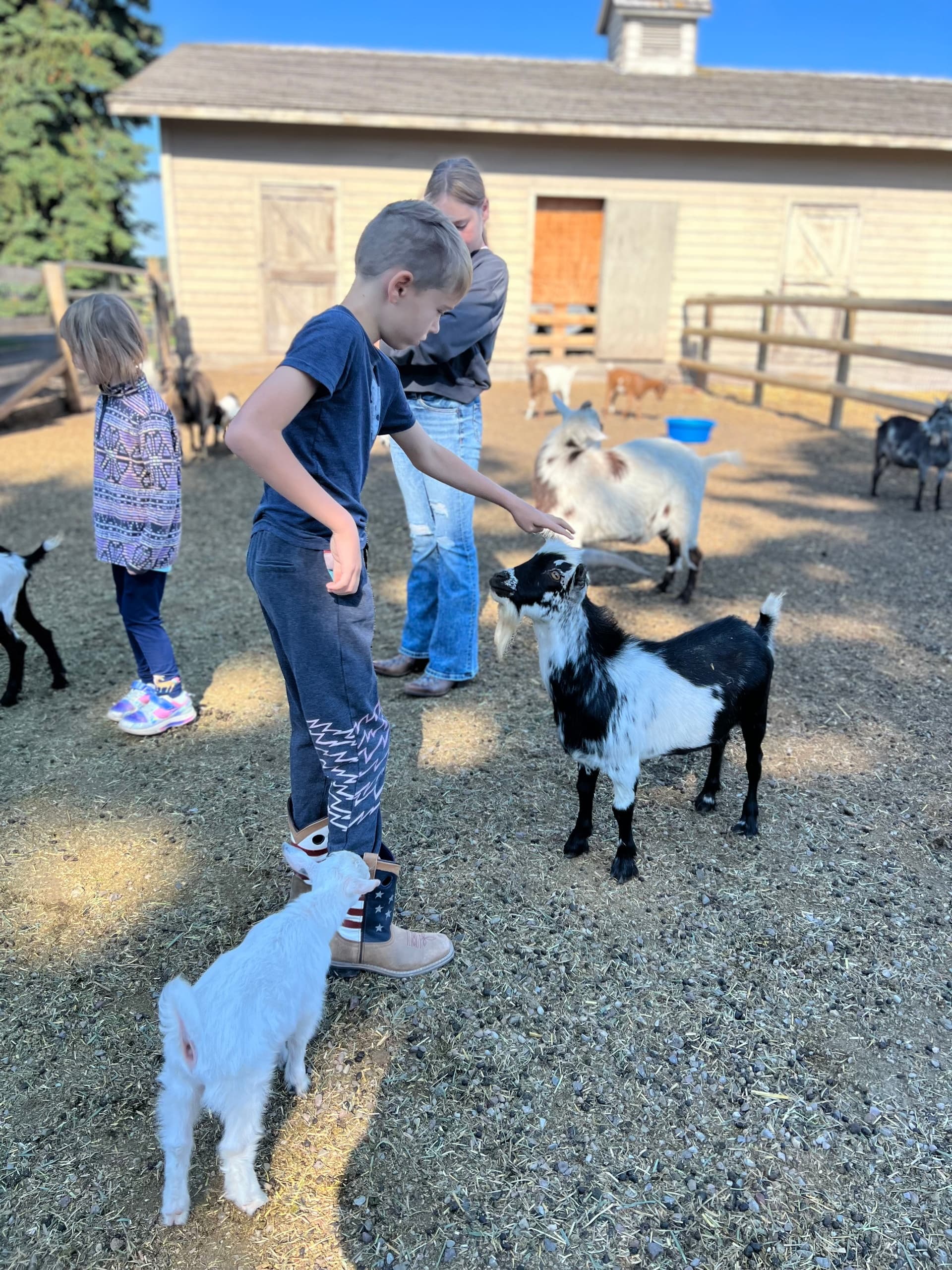 Land Adventures with Firefly Horse Co. - Farm Camp Experience