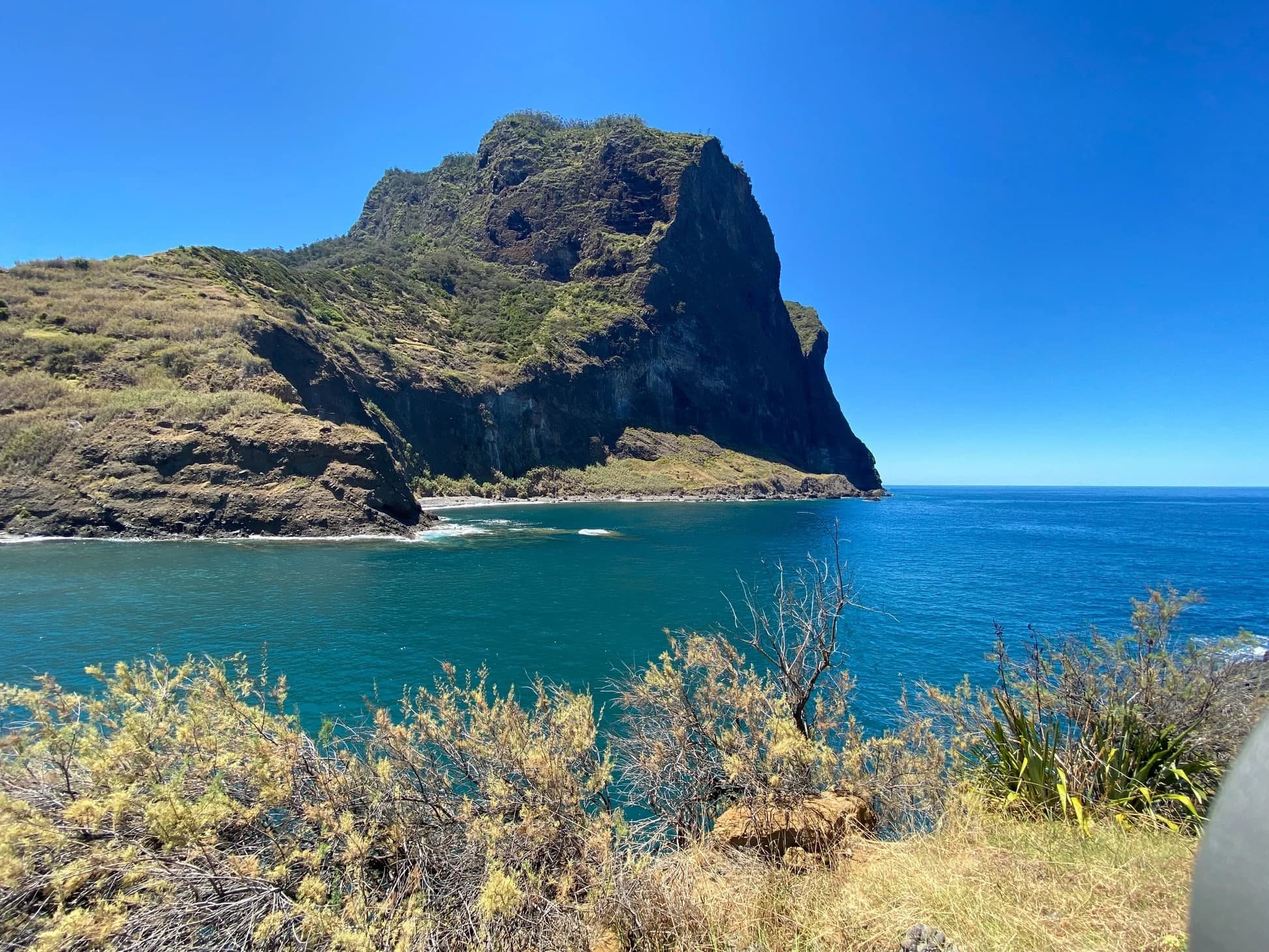 Wildlife & Nature Tour of Madeira by Lisbon On Travel