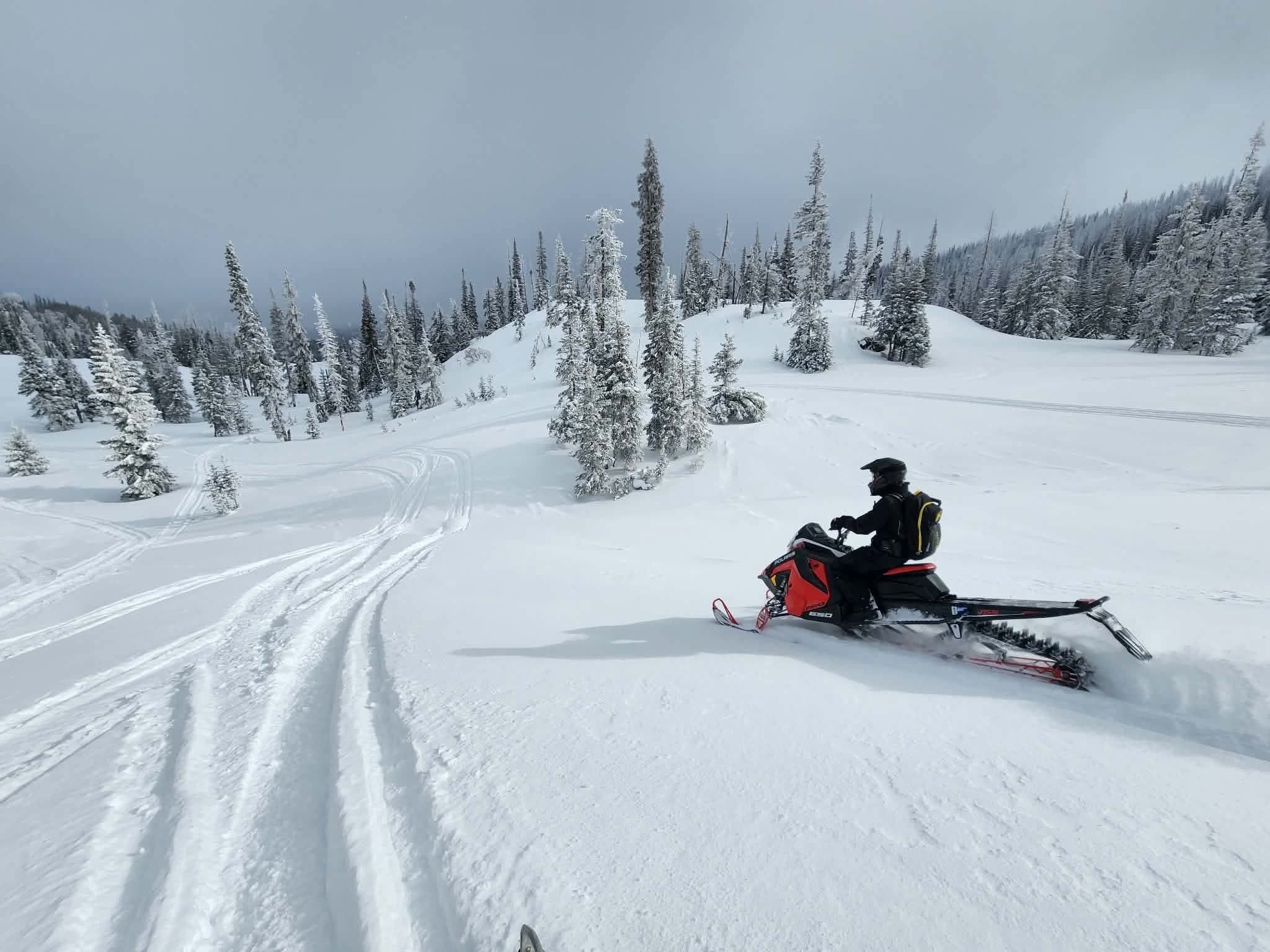 Heber City Snowmobile Tour: 2-Hour Guided Backcountry Ride with Lofty Peaks